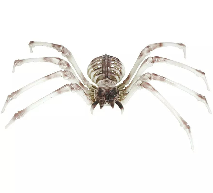 Translation missing: de.Esqueleto Araña 85x35 cm