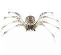 Esqueleto Araña 85x35 cm
