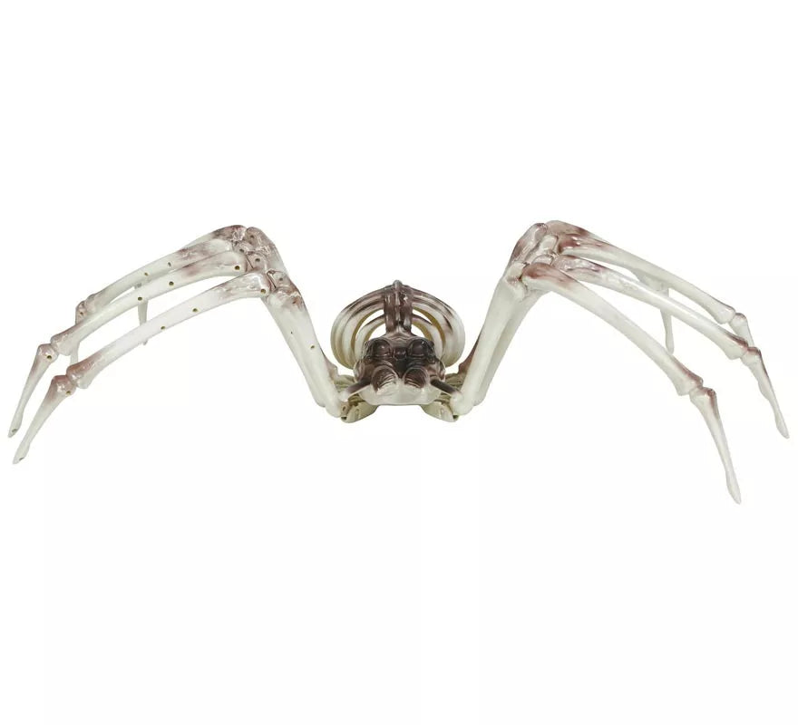 Translation missing: de.Esqueleto Araña 85x35 cm