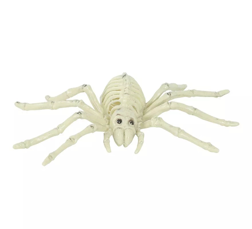 Translation missing: de.Esqueleto de Araña 24 Cm