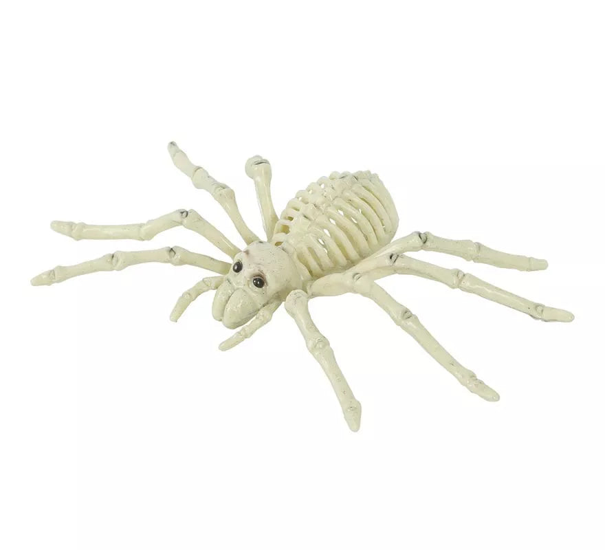 Translation missing: de.Esqueleto de Araña 24 Cm