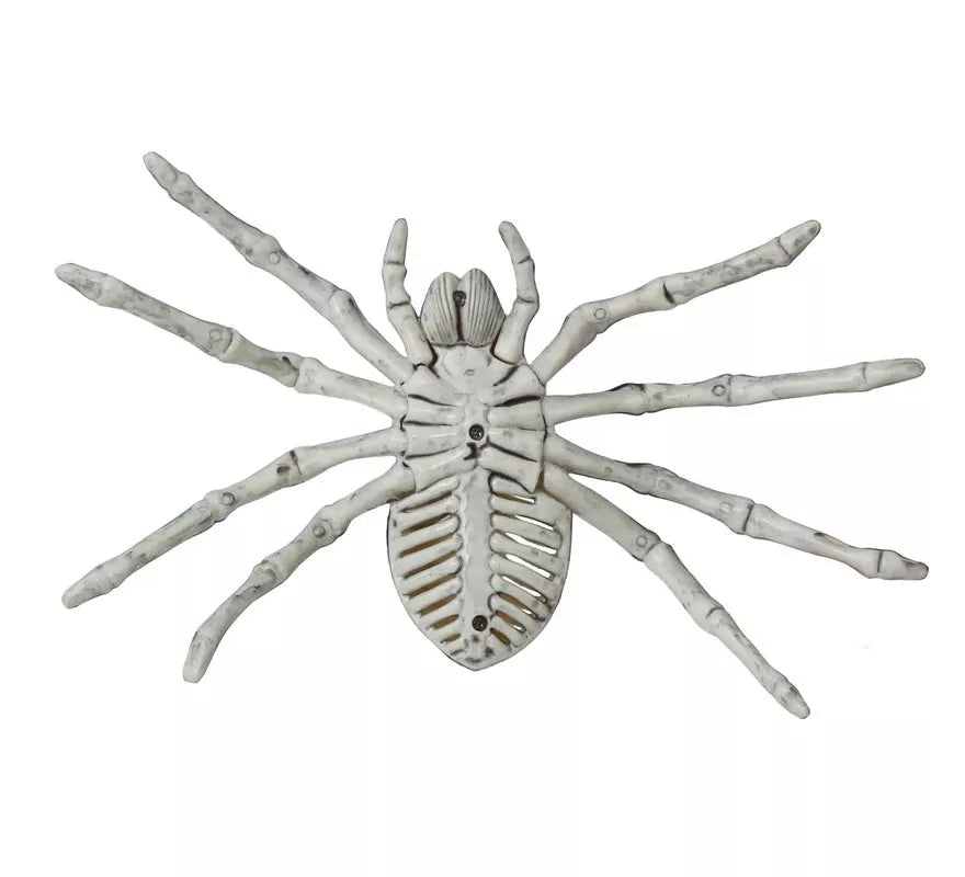 Translation missing: de.Esqueleto de Araña 24 Cm