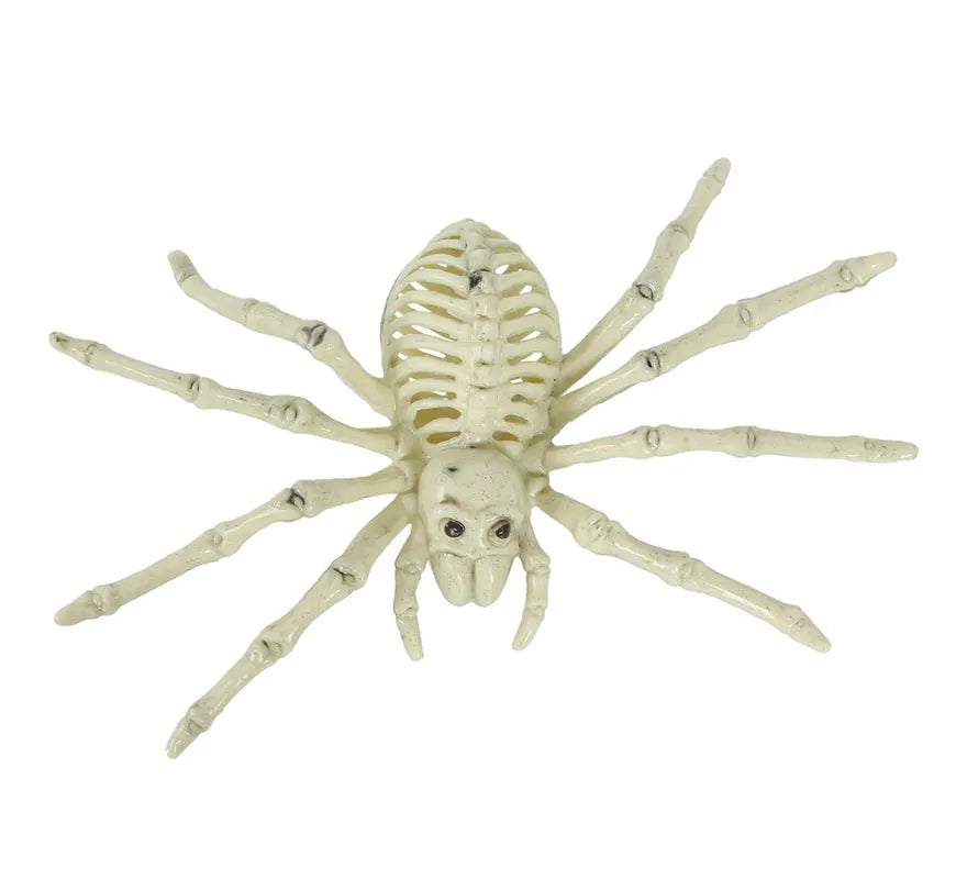 Translation missing: de.Esqueleto de Araña 24 Cm