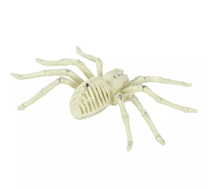 Esqueleto de Araña 24 Cm