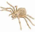Esqueleto de Araña Aterradora de 24 cm