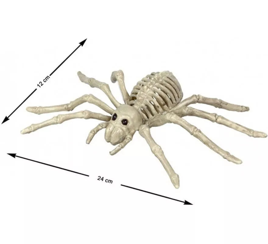 Translation missing: de.Esqueleto de Araña Tarántula de 24x12 cm