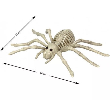 Esqueleto de Araña Tarántula de 24x12 cm