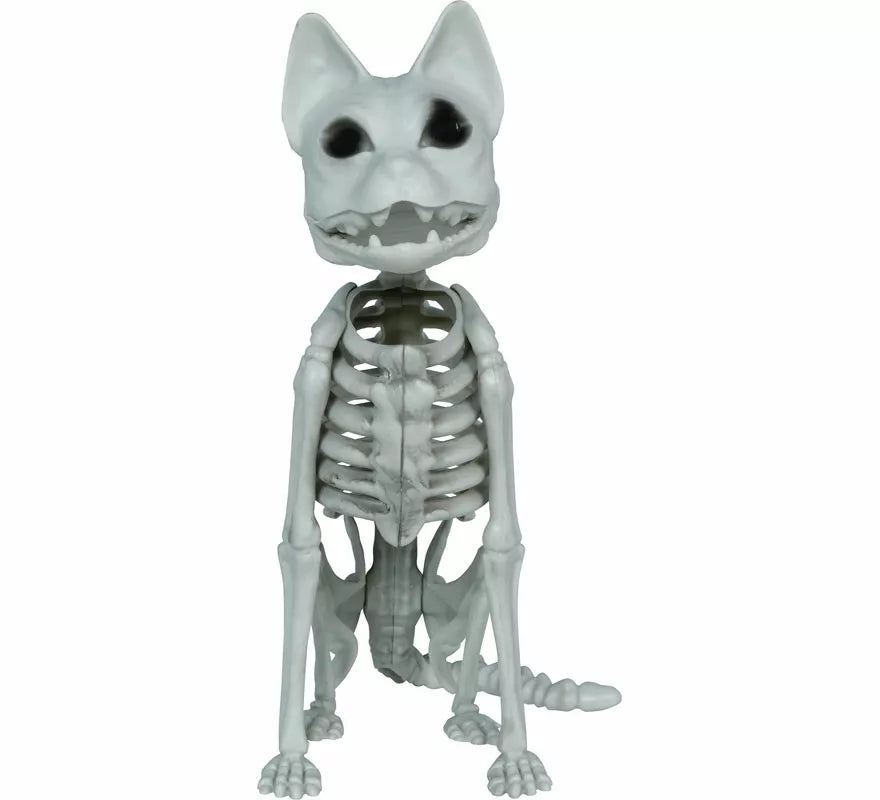 Translation missing: de.Esqueleto de Gato de 37 cm