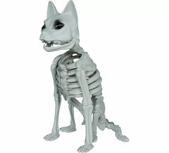 37 cm großes Katzenskelett