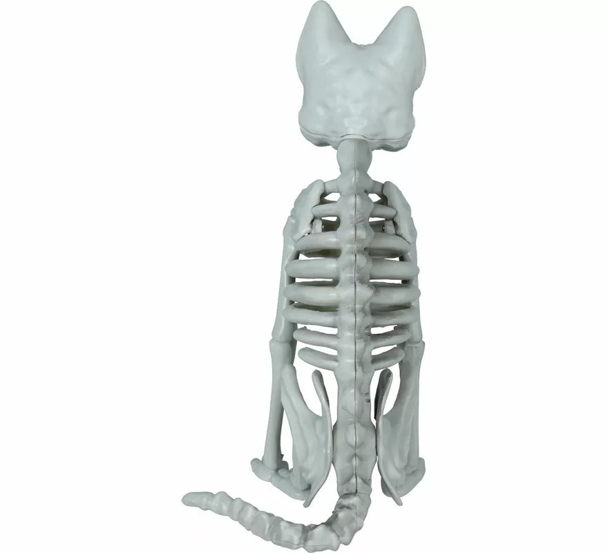 Translation missing: de.Esqueleto de Gato de 37 cm