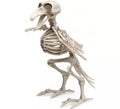 Esqueleto de Pájaro de 19x12 cm