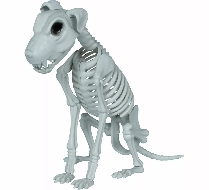 Translation missing: de.Esqueleto de Perro de 38 cm