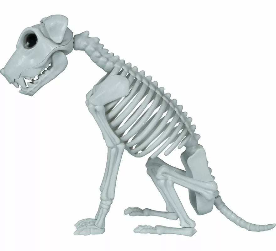 Translation missing: de.Esqueleto de Perro de 38 cm