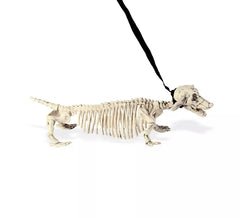 Dackelskelett an der Leine 55cm