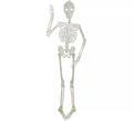 Esqueleto fluorescente 152 cm