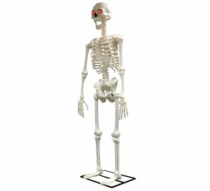 Esqueleto Gigante con Luz de 310 cm
