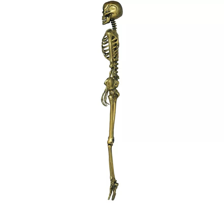 Esqueleto oro 90 cm