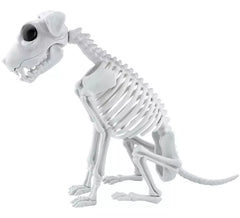 Hundeskelett