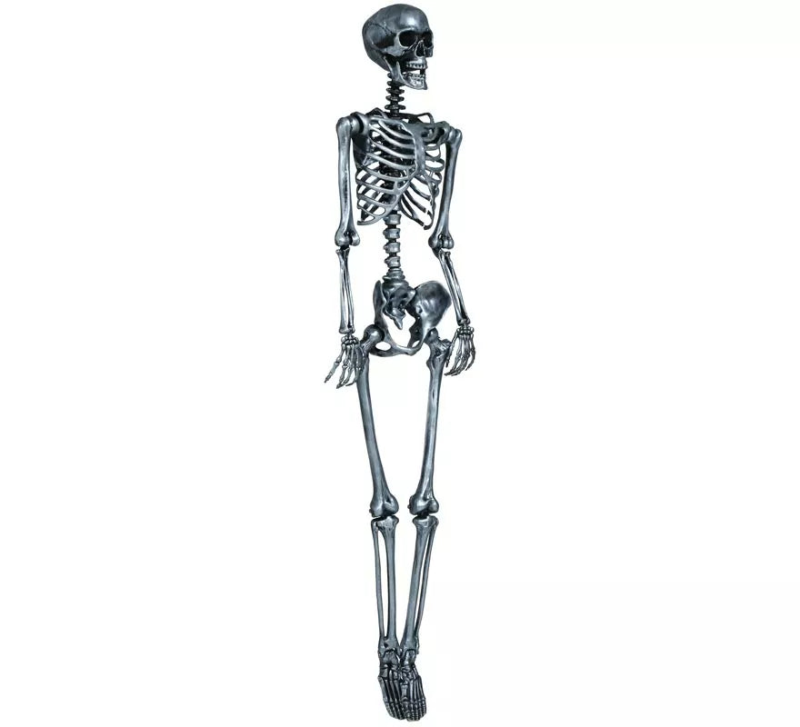 Esqueleto plata 160 cm