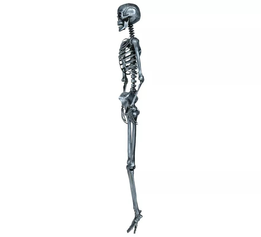 Esqueleto plata 90 cm