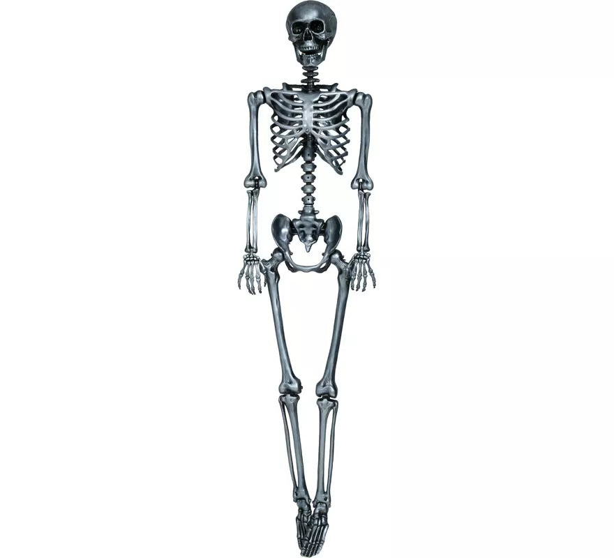 Esqueleto plata 90 cm