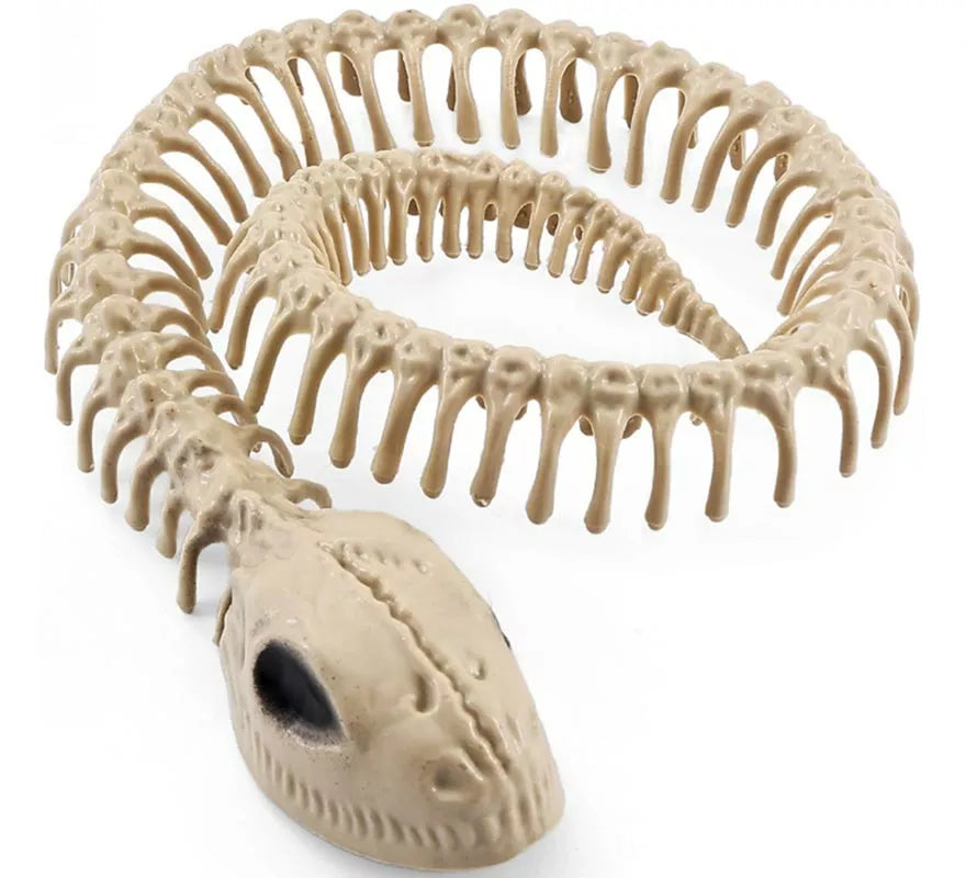Translation missing: de.Esqueleto Serpiente de 16x3.5 cm