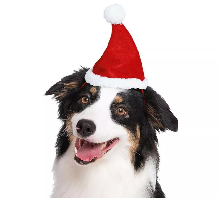Translation missing: de.Gorro Navidad para perro