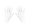 Guantes Cortos para Adulto en varios colores