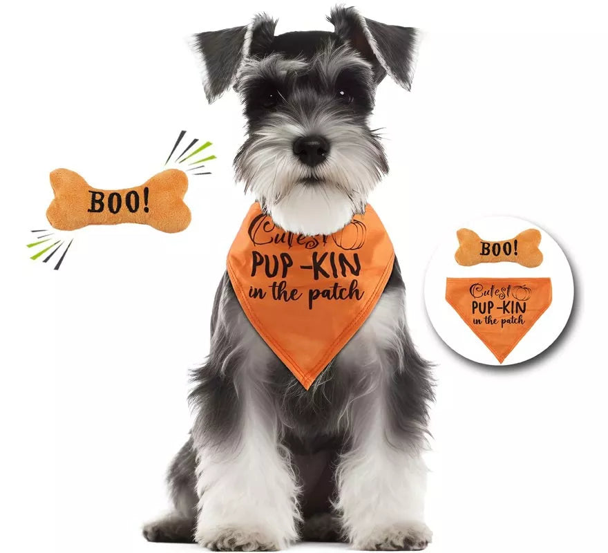 Translation missing: de.Kit de Calabaza para perro: Pañuelo y hueso