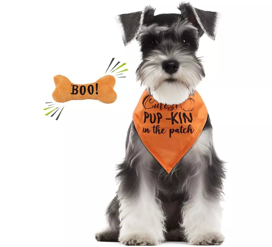 Translation missing: de.Kit de Calabaza para perro: Pañuelo y hueso