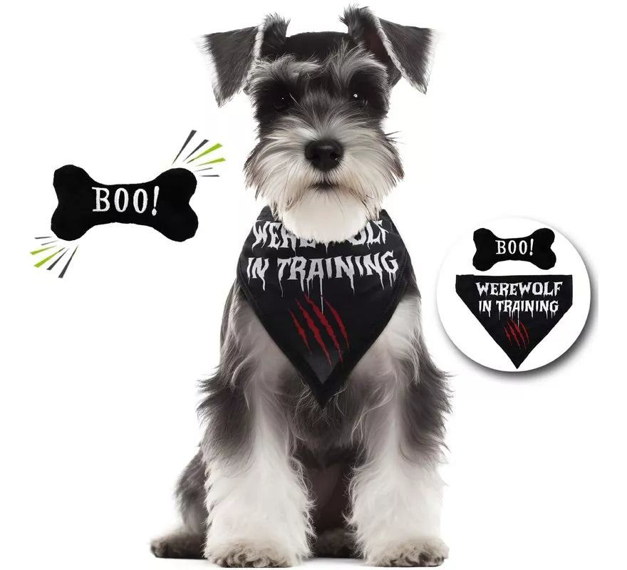 Kit de Hombre Lobo para perro: Pañuelo y hueso