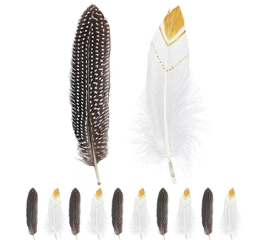Translation missing: de.Pack de 12 Plumas de Indio en colores surtidos
