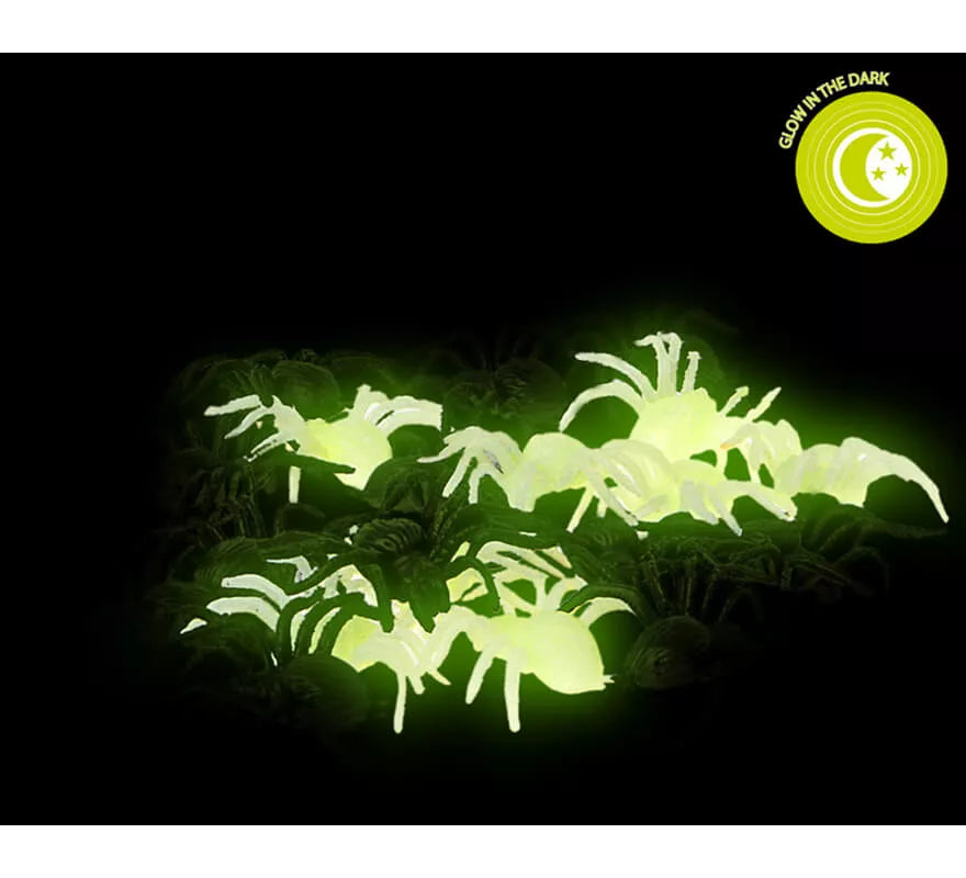 Translation missing: de.Pack de 20 Arañas Fluorescentes y Negras