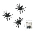 Pack de 3 Arañas negras