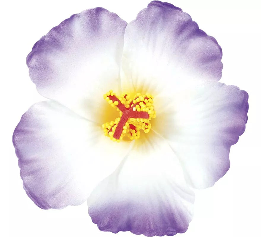 Pack de 3 Flores Hawaianas