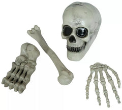 Packung mit 4 Skelettknochen