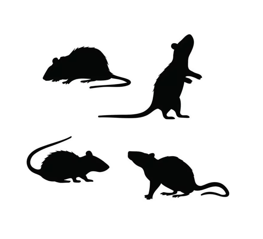 Translation missing: de.Pack de 4 Siluetas de Ratas negras