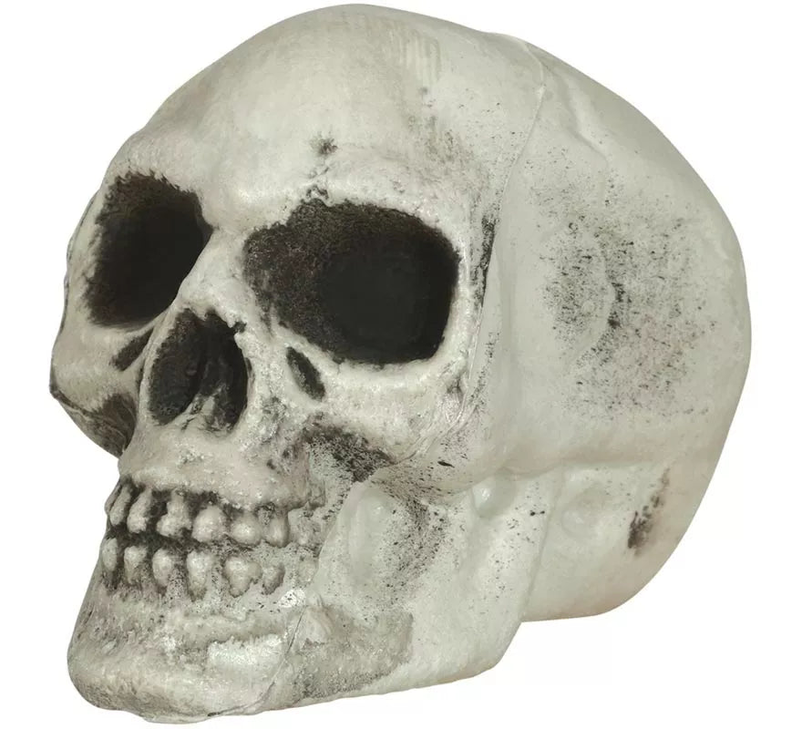 Translation missing: de.Pack de 6 Calaveras 8 cm