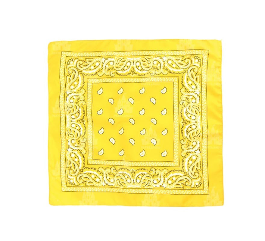 Translation missing: de.Pañuelo Paisley de 54x54 cm en varios colores