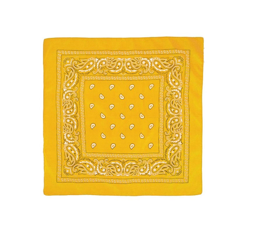 Translation missing: de.Pañuelo Paisley de 54x54 cm en varios colores