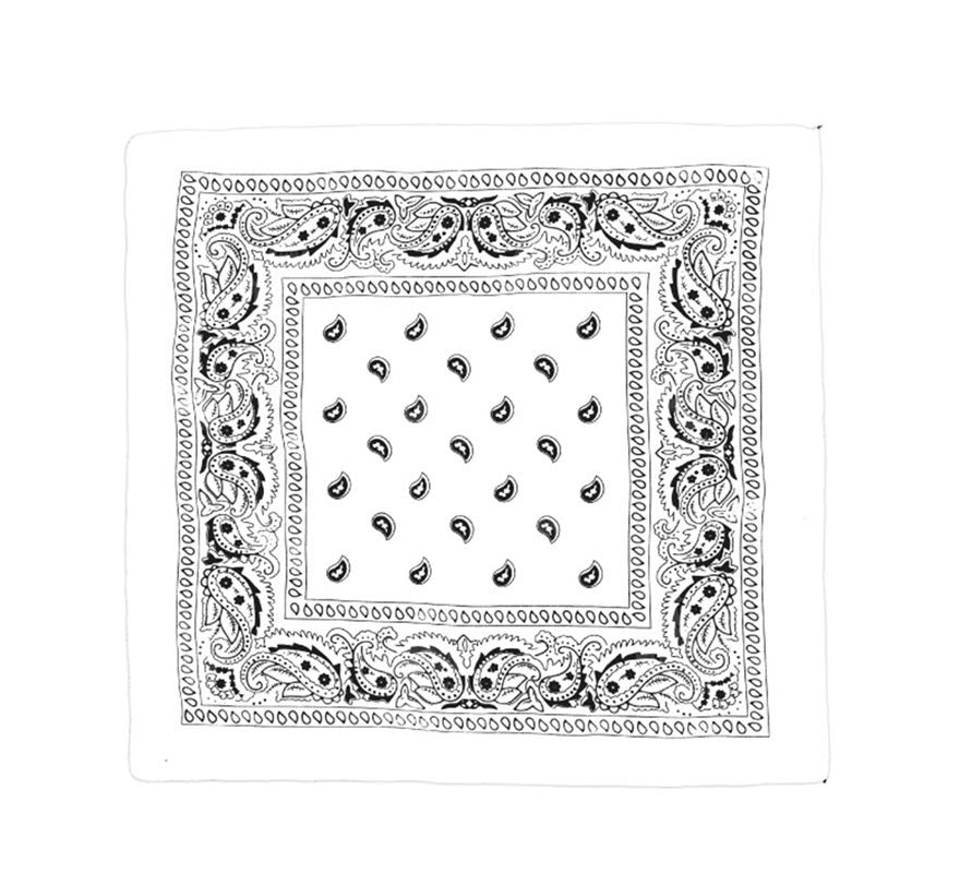 Translation missing: de.Pañuelo Paisley de 54x54 cm en varios colores