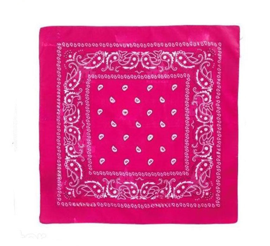 Translation missing: de.Pañuelo Paisley de 54x54 cm en varios colores