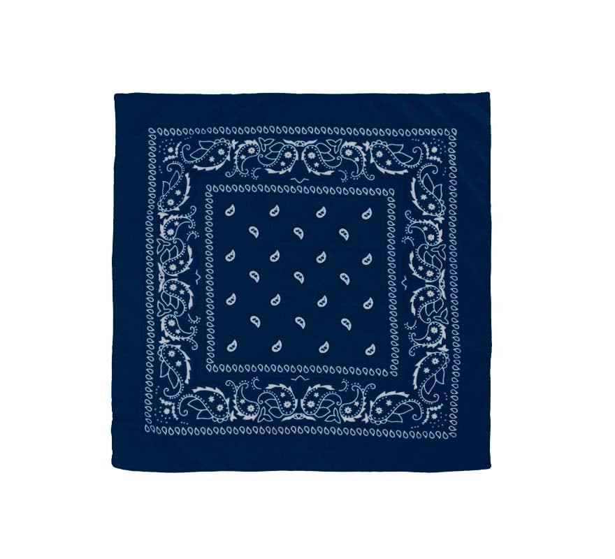 Translation missing: de.Pañuelo Paisley de 54x54 cm en varios colores