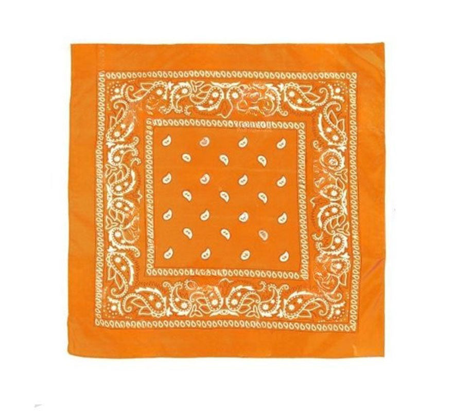 Translation missing: de.Pañuelo Paisley de 54x54 cm en varios colores
