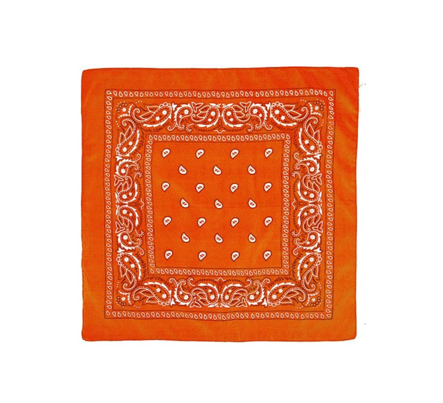 Translation missing: de.Pañuelo Paisley de 54x54 cm en varios colores