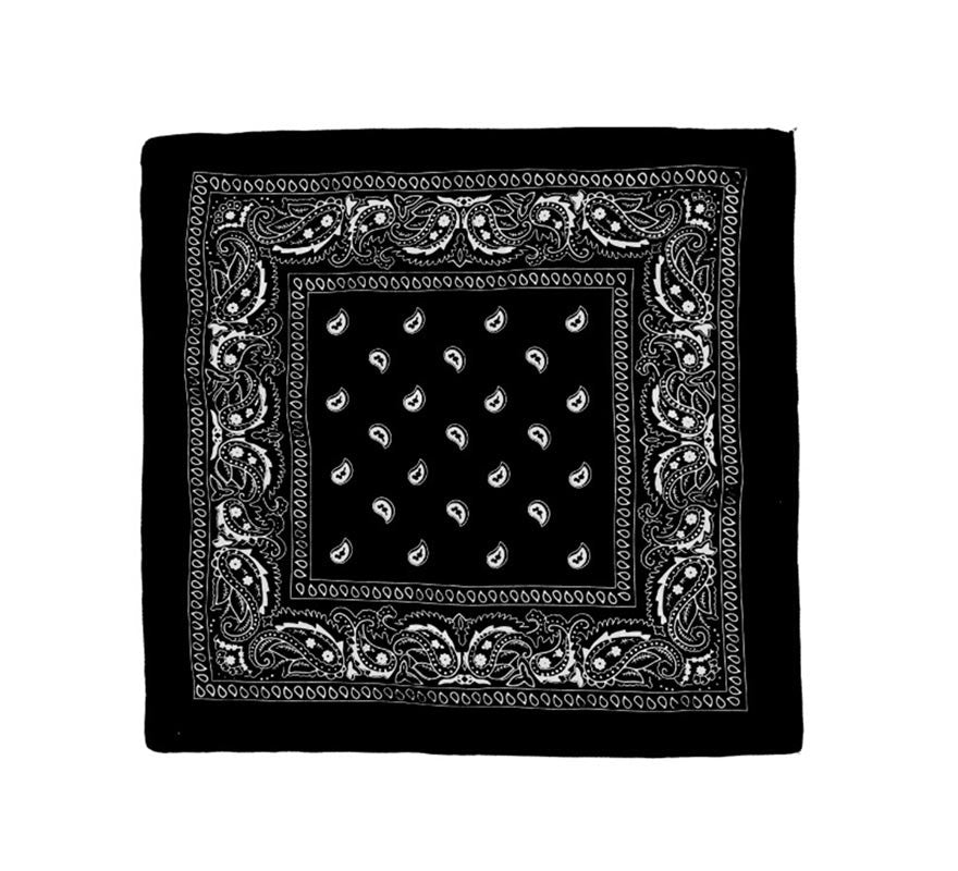 Translation missing: de.Pañuelo Paisley de 54x54 cm en varios colores