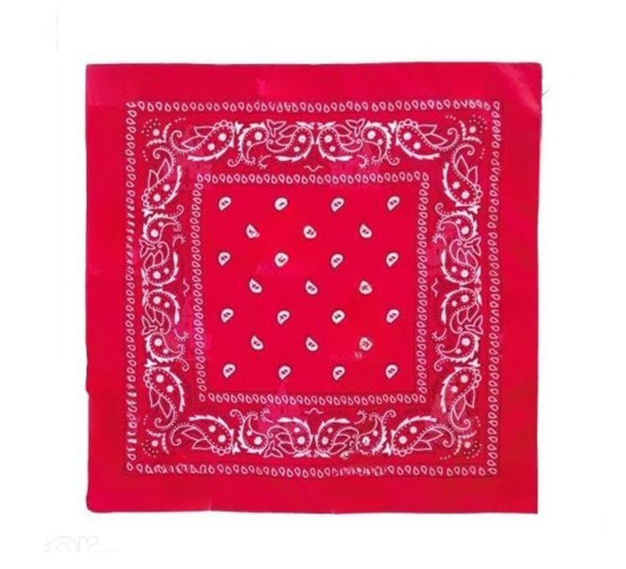 Translation missing: de.Pañuelo Paisley de 54x54 cm en varios colores