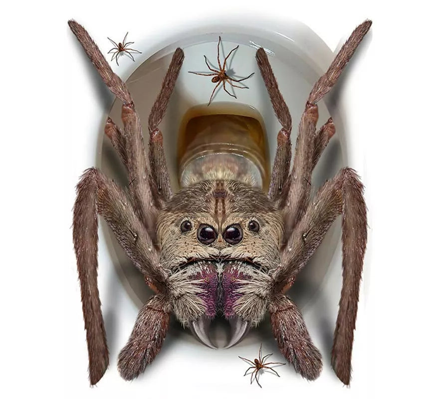 Translation missing: de.Pegatina Araña Gigante para tapa de inodoro de 30x40 cm