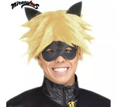 Cat Noir Perücke und Maske in Box für Männer