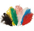 Pluma corta en varios colores 28 cm